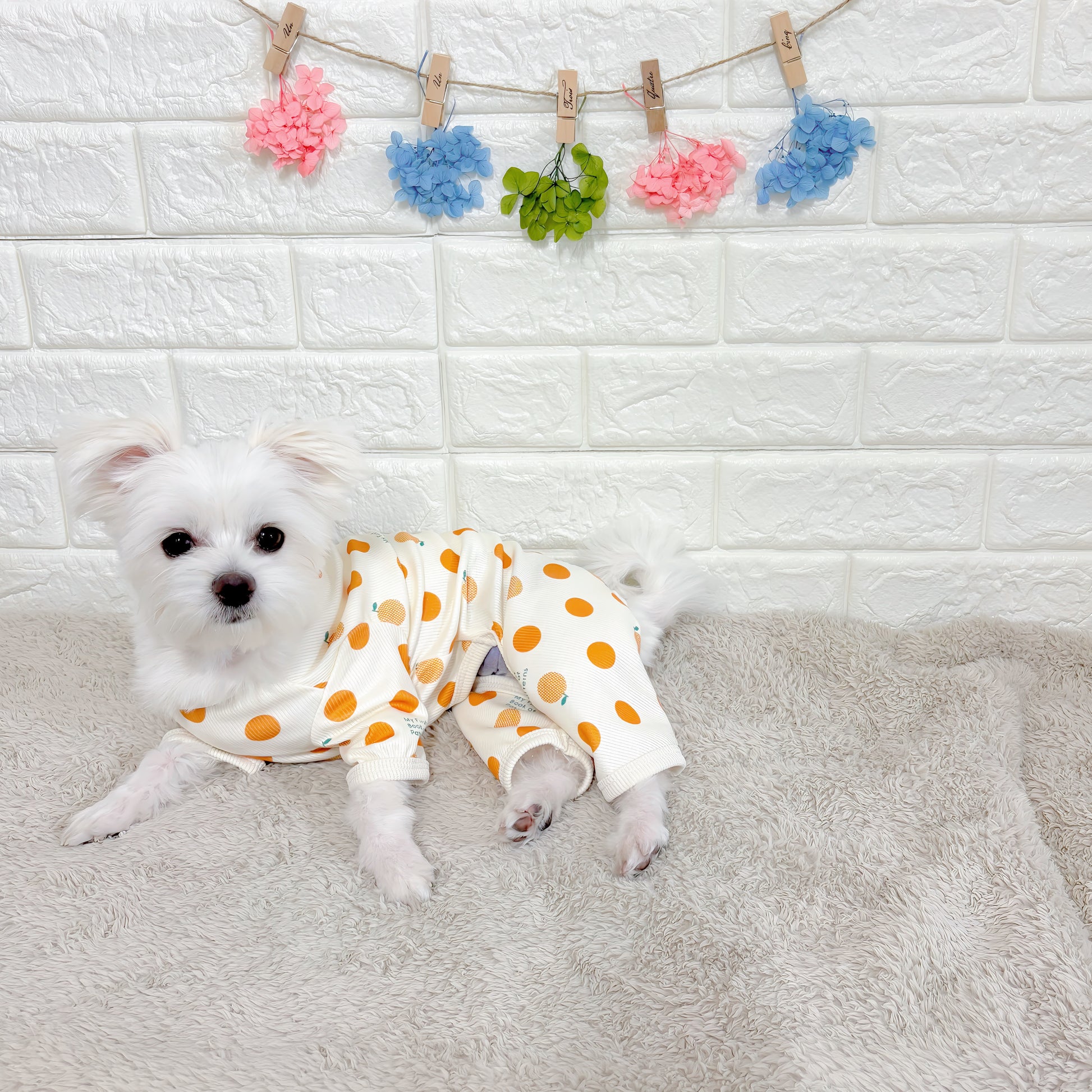 春夏向けの犬用洋服、おしゃれで可愛いフルーツ柄ドッグウェア。防蚊機能＆虫よけ対策◎。汚れ防止＆抜け毛対策に最適。伸縮性があり快適な着心地で、小型犬の部屋着やお散歩にもぴったり。