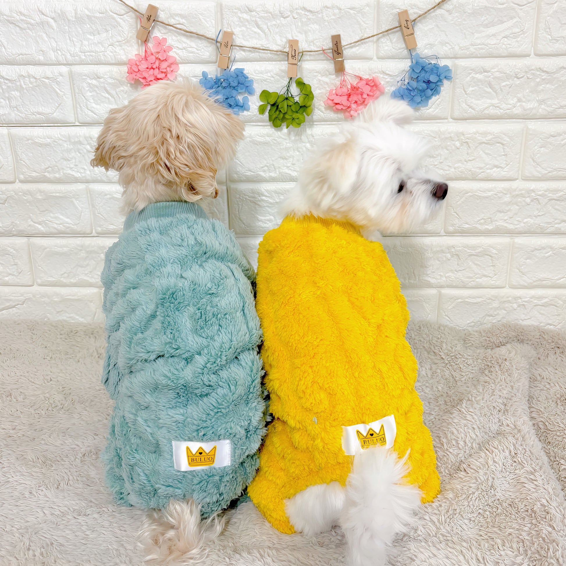 秋冬向けの犬用洋服、ふわふわで温かいケーブルニット風ドッグウェア。防寒・汚れ防止・抜け毛対策◎。伸縮性があり着脱簡単。おしゃれで可愛いデザイン＆選べる3色展開、小型犬にも最適。