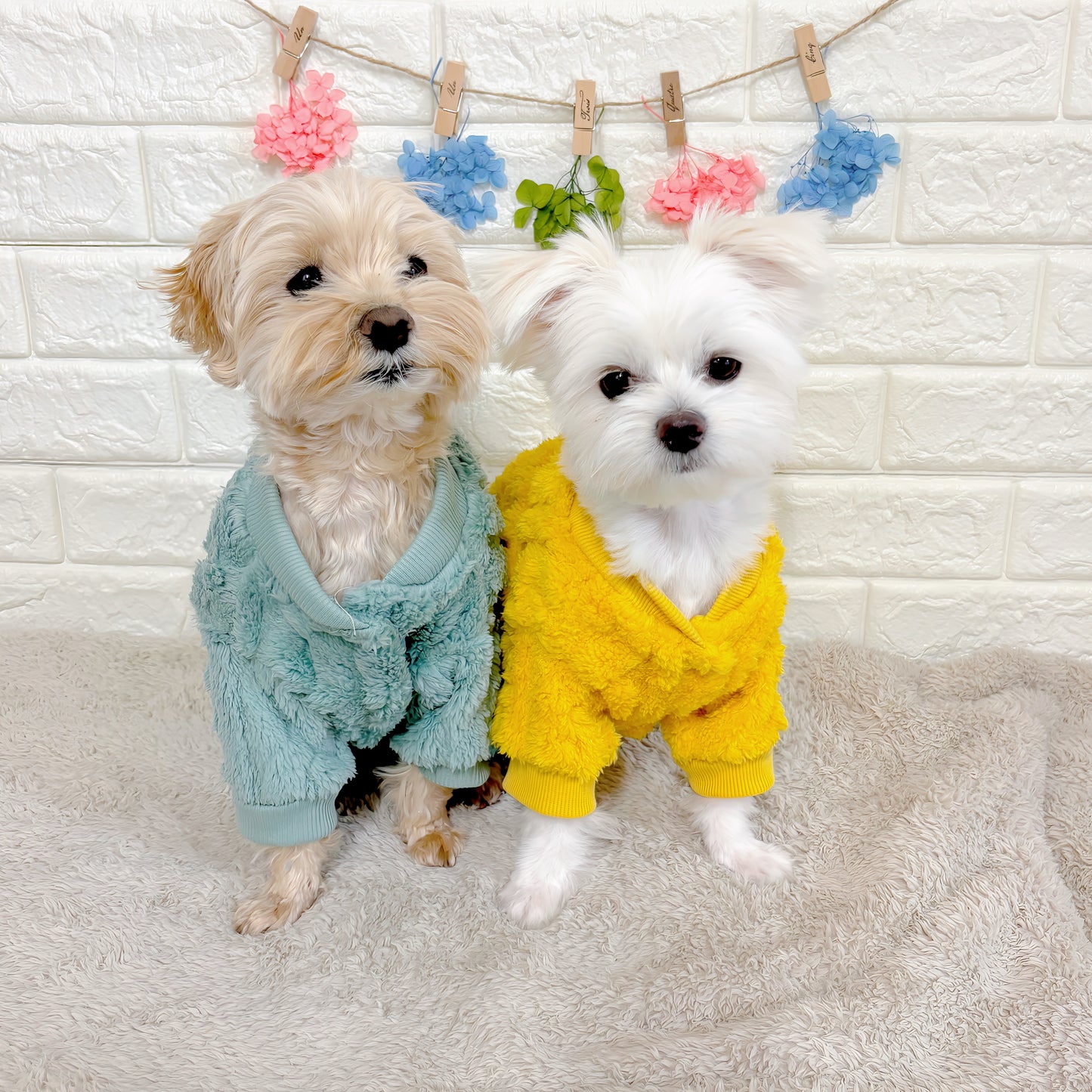 秋冬向けの犬用洋服、ふわふわで温かいケーブルニット風ドッグウェア。防寒・汚れ防止・抜け毛対策◎。伸縮性があり着脱簡単。おしゃれで可愛いデザイン＆選べる3色展開、小型犬にも最適。