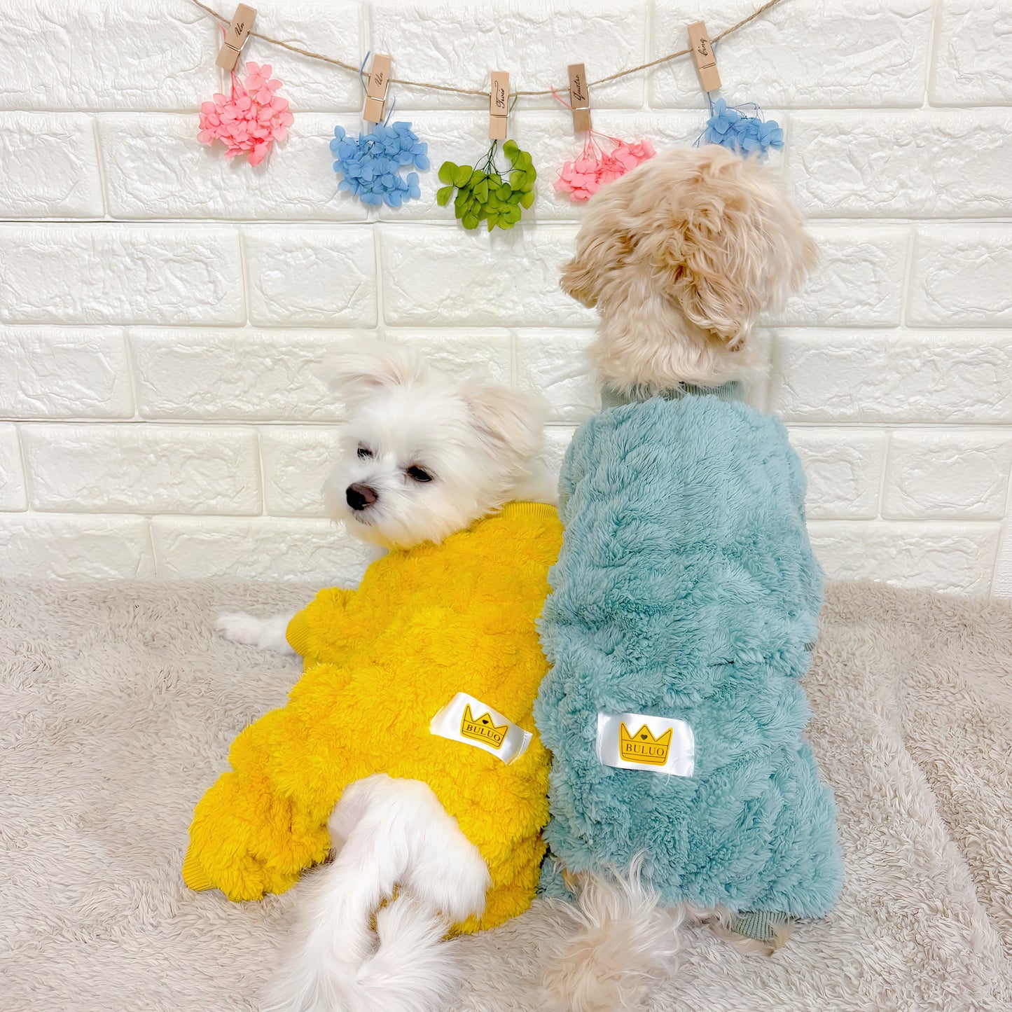 秋冬向けの犬用洋服、ふわふわで温かいケーブルニット風ドッグウェア。防寒・汚れ防止・抜け毛対策◎。伸縮性があり着脱簡単。おしゃれで可愛いデザイン＆選べる3色展開、小型犬にも最適。