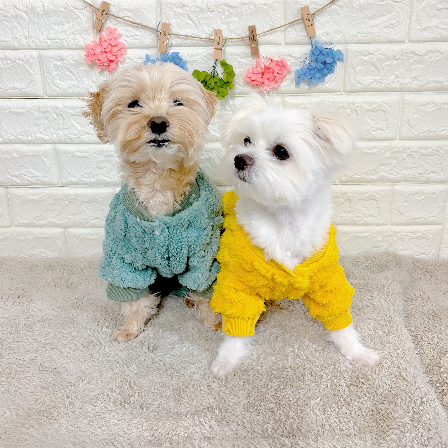 秋冬向けの犬用洋服、ふわふわで温かいケーブルニット風ドッグウェア。防寒・汚れ防止・抜け毛対策◎。伸縮性があり着脱簡単。おしゃれで可愛いデザイン＆選べる3色展開、小型犬にも最適。