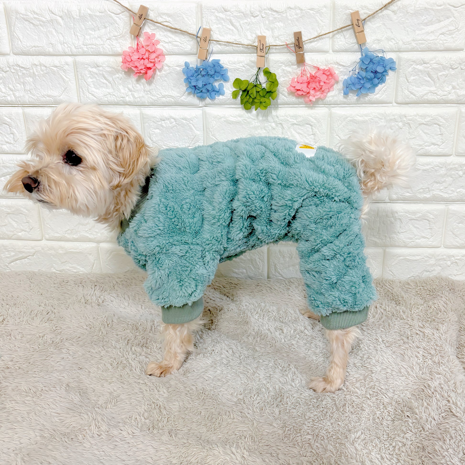 秋冬向けの犬用洋服、ふわふわで温かいケーブルニット風ドッグウェア。防寒・汚れ防止・抜け毛対策◎。伸縮性があり着脱簡単。おしゃれで可愛いデザイン＆選べる3色展開、小型犬にも最適。