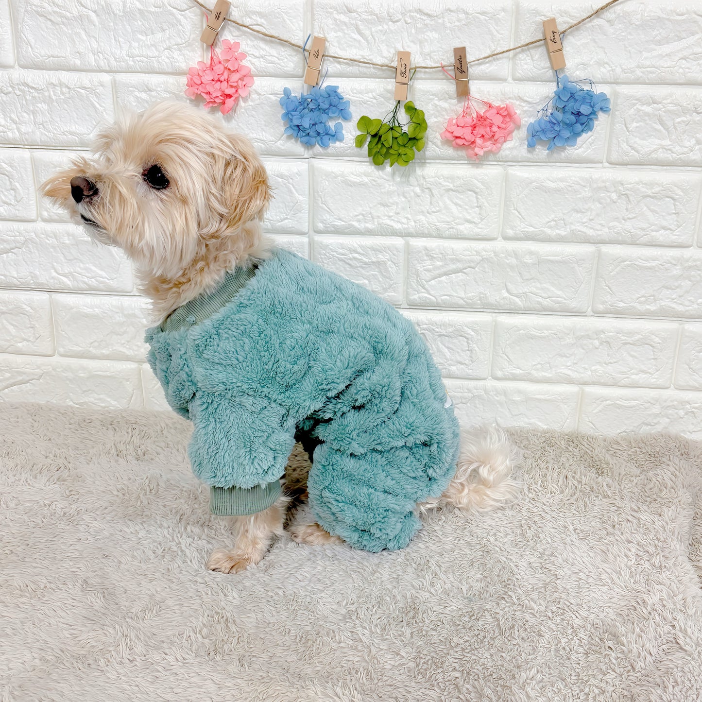 秋冬向けの犬用洋服、ふわふわで温かいケーブルニット風ドッグウェア。防寒・汚れ防止・抜け毛対策◎。伸縮性があり着脱簡単。おしゃれで可愛いデザイン＆選べる3色展開、小型犬にも最適。