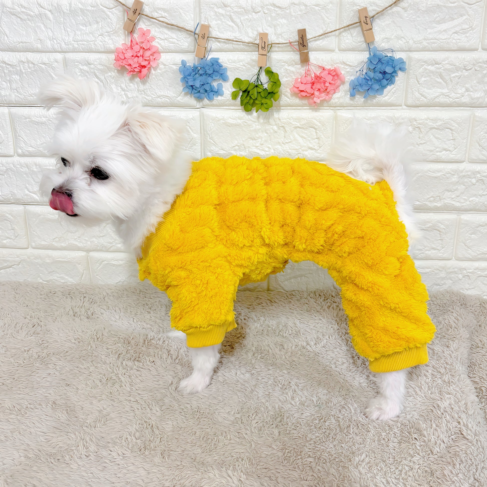 秋冬向けの犬用洋服、ふわふわで温かいケーブルニット風ドッグウェア。防寒・汚れ防止・抜け毛対策◎。伸縮性があり着脱簡単。おしゃれで可愛いデザイン＆選べる3色展開、小型犬にも最適。