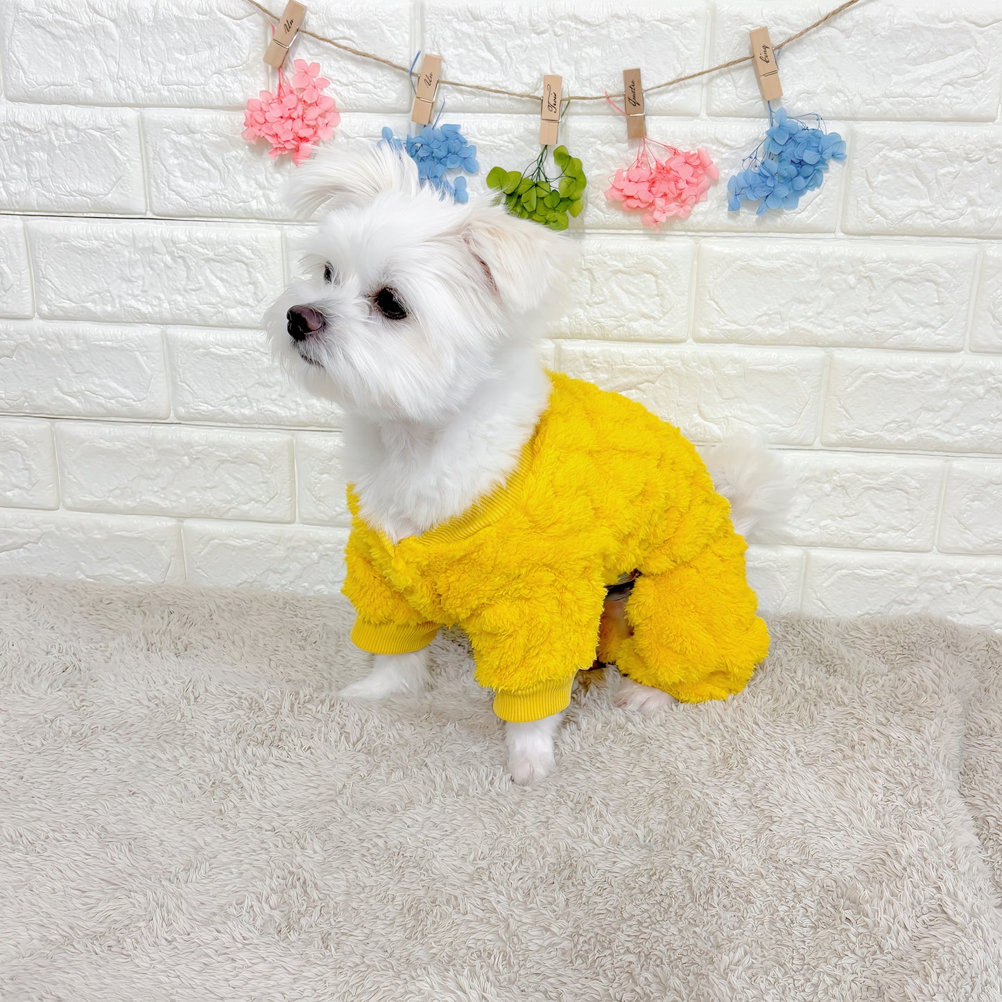 秋冬向けの犬用洋服、ふわふわで温かいケーブルニット風ドッグウェア。防寒・汚れ防止・抜け毛対策◎。伸縮性があり着脱簡単。おしゃれで可愛いデザイン＆選べる3色展開、小型犬にも最適。