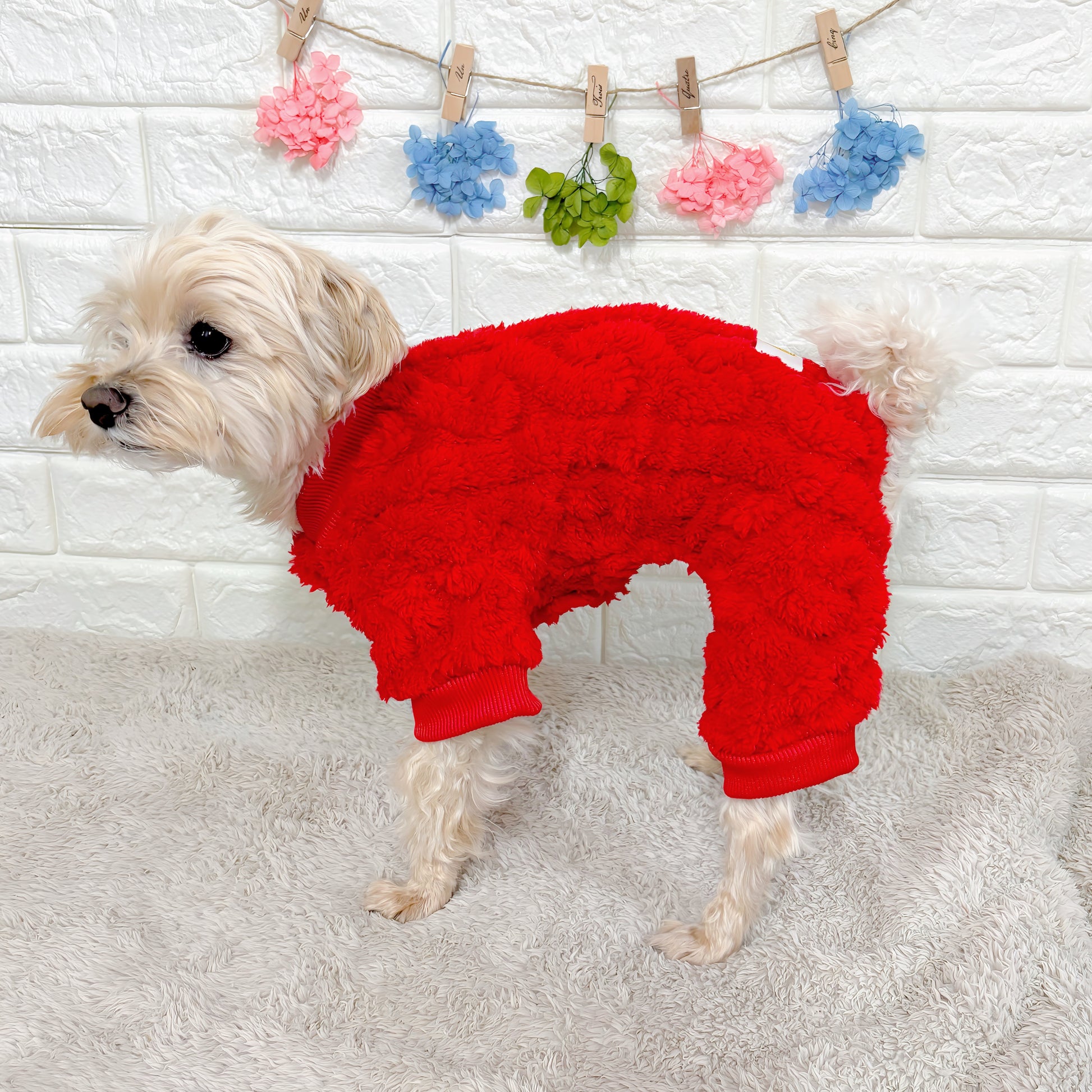 秋冬向けの犬用洋服、ふわふわで温かいケーブルニット風ドッグウェア。防寒・汚れ防止・抜け毛対策◎。伸縮性があり着脱簡単。おしゃれで可愛いデザイン＆選べる3色展開、小型犬にも最適。