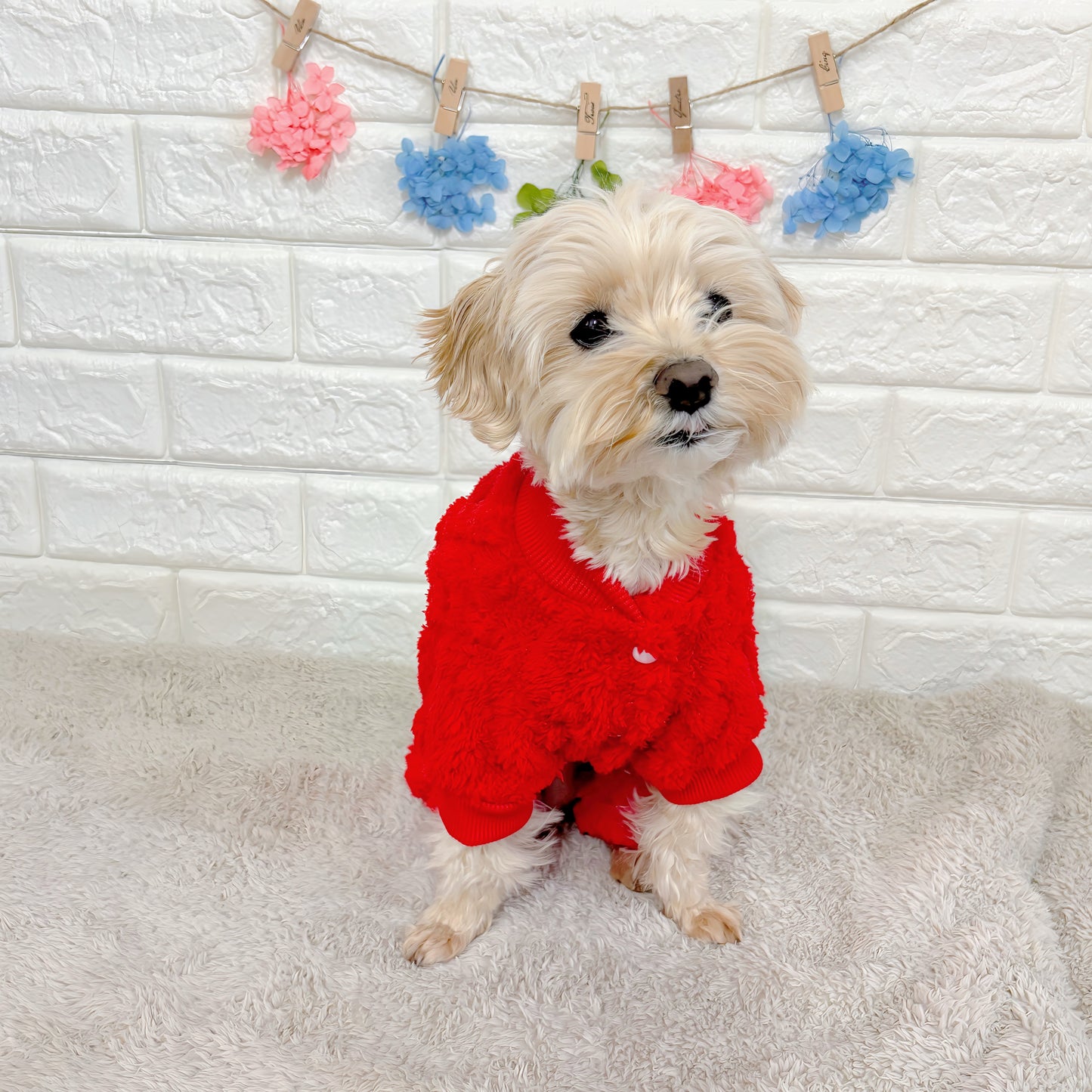 秋冬向けの犬用洋服、ふわふわで温かいケーブルニット風ドッグウェア。防寒・汚れ防止・抜け毛対策◎。伸縮性があり着脱簡単。おしゃれで可愛いデザイン＆選べる3色展開、小型犬にも最適。