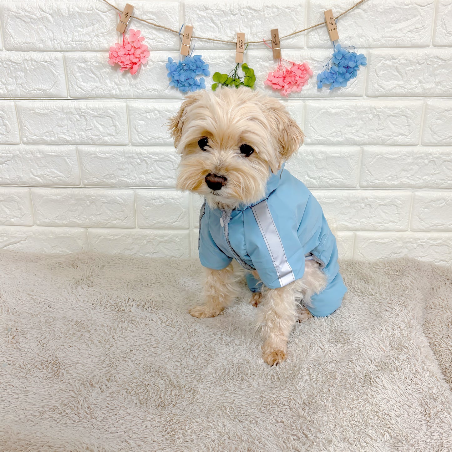 冬向けの犬用洋服、暖かいダウンジャケット風ドッグウェア。もこもこ裏地で防寒対策◎。汚れ防止＆抜け毛対策に最適。反射テープ付きで夜間のお散歩も安心な小型犬向けデザイン。