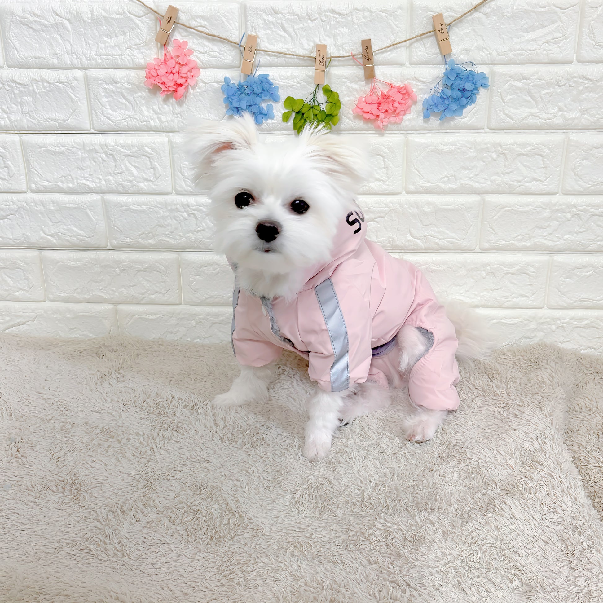 冬向けの犬用洋服、暖かいダウンジャケット風ドッグウェア。もこもこ裏地で防寒対策◎。汚れ防止＆抜け毛対策に最適。反射テープ付きで夜間のお散歩も安心な小型犬向けデザイン。