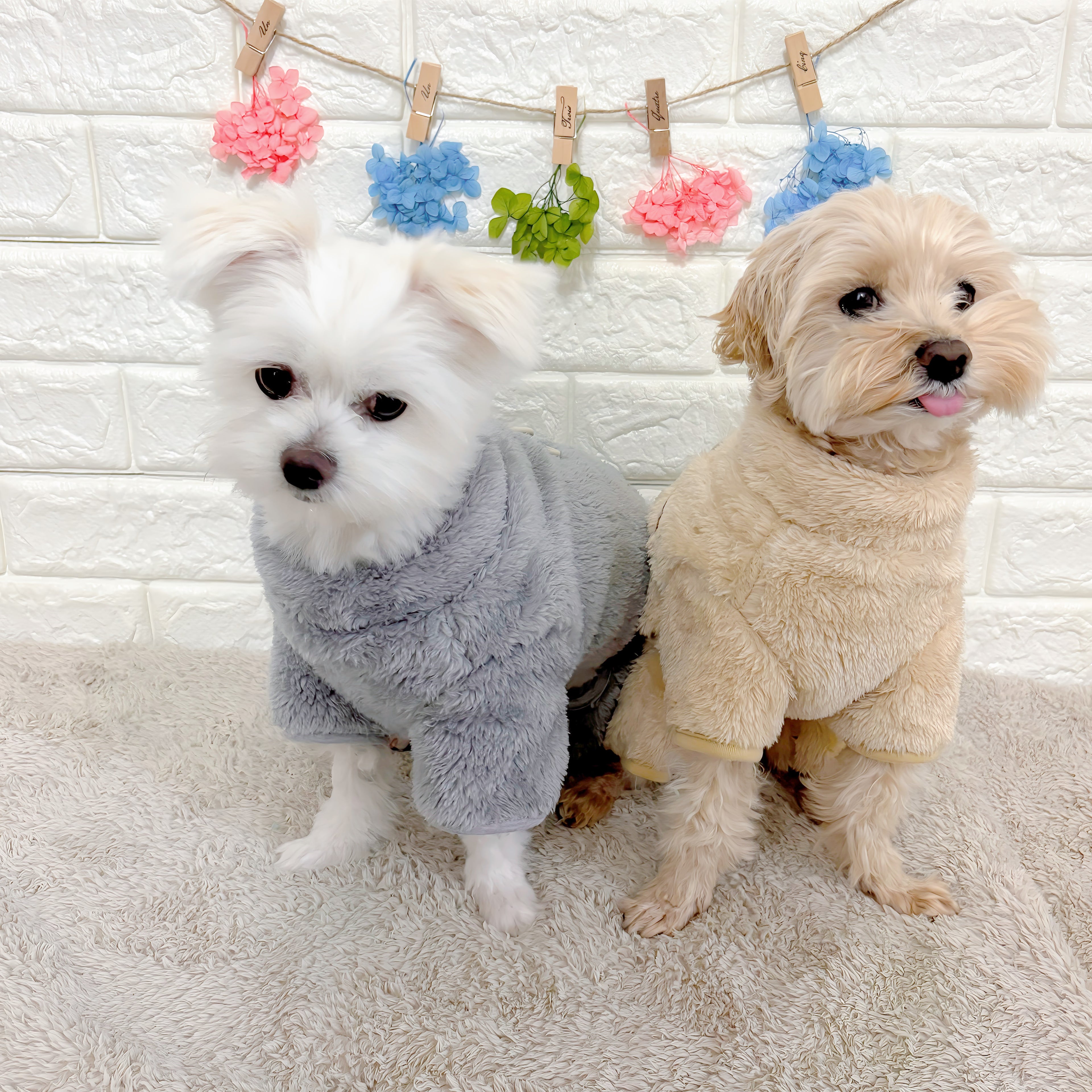 冬向けの犬用洋服、もこもこフリース素材の暖かいドッグウェア。小型犬にも最適な防寒ロンパース。背中チャックで着脱簡単、おしゃれで可愛いデザイン。