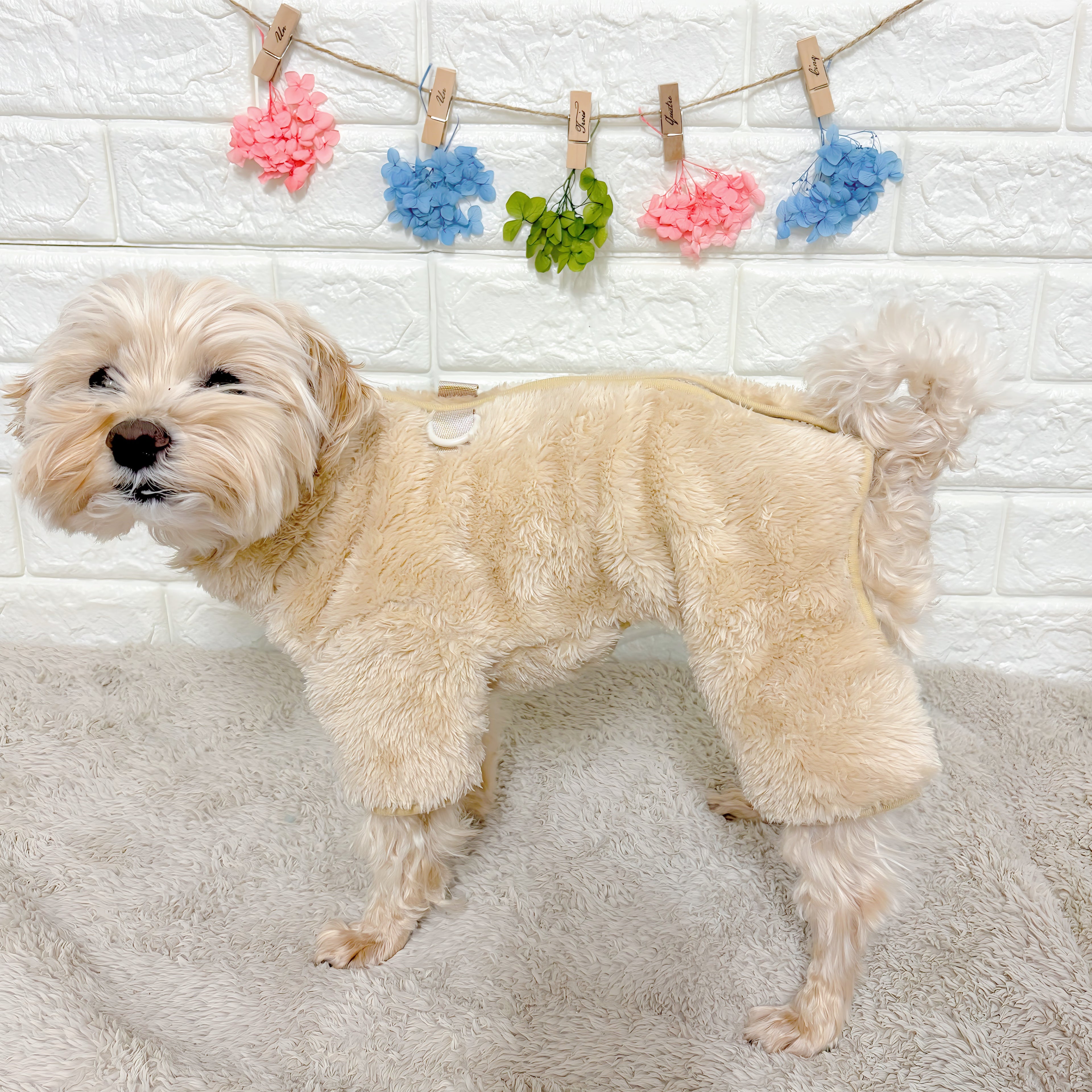 冬向けの犬用洋服、もこもこフリース素材の暖かいドッグウェア。小型犬にも最適な防寒ロンパース。背中チャックで着脱簡単、おしゃれで可愛いデザイン。