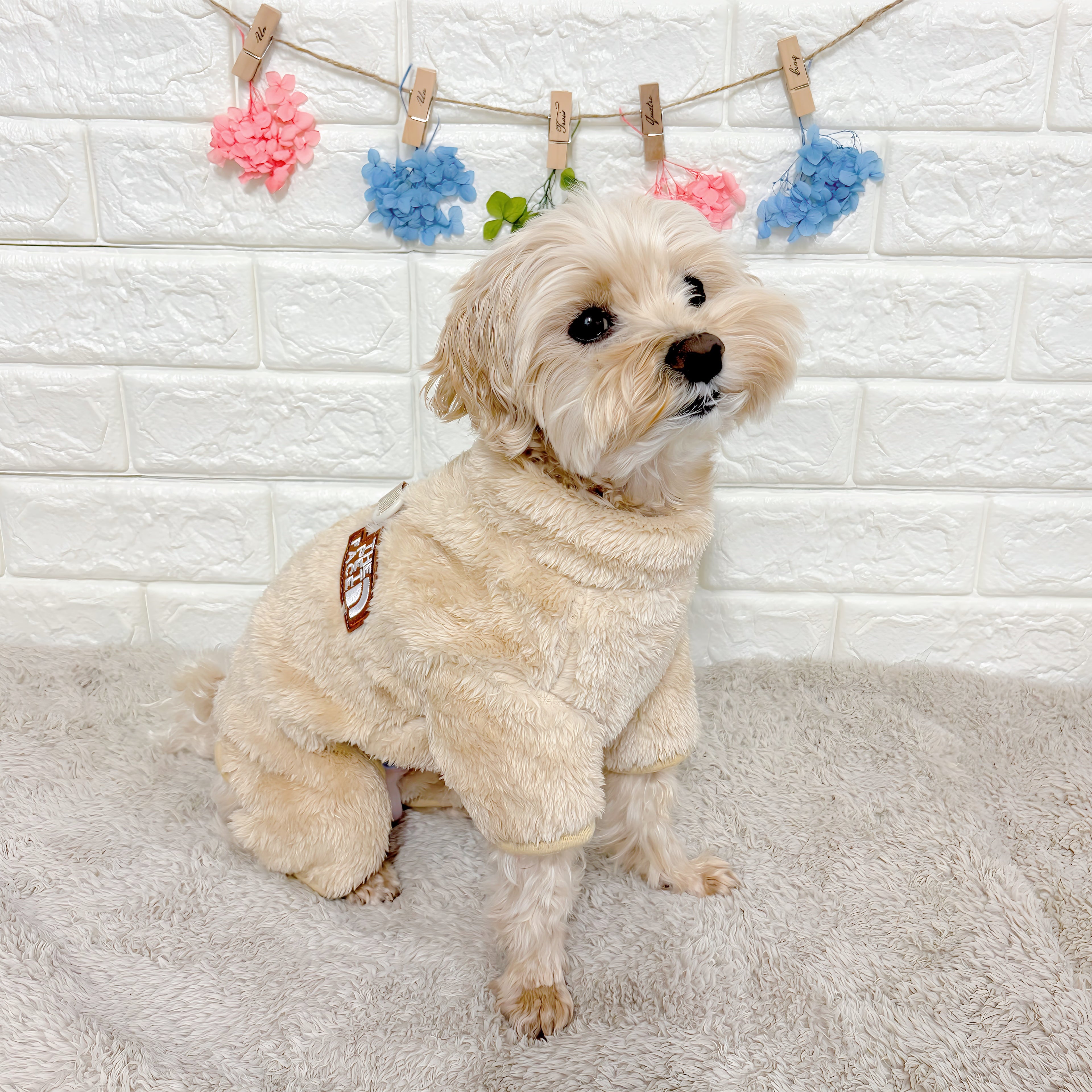 冬向けの犬用洋服、もこもこフリース素材の暖かいドッグウェア。小型犬にも最適な防寒ロンパース。背中チャックで着脱簡単、おしゃれで可愛いデザイン。