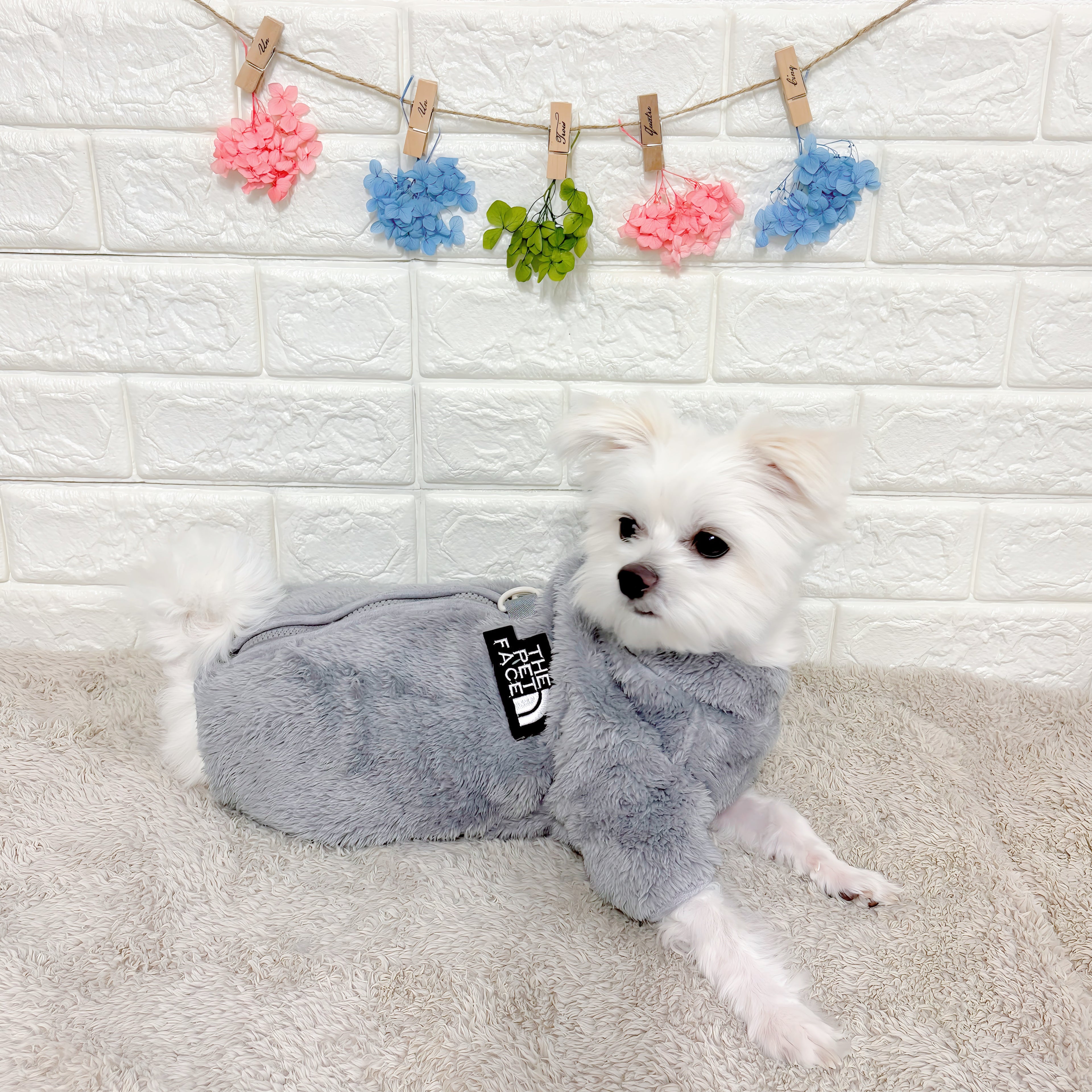 冬向けの犬用洋服、もこもこフリース素材の暖かいドッグウェア。小型犬にも最適な防寒ロンパース。背中チャックで着脱簡単、おしゃれで可愛いデザイン。