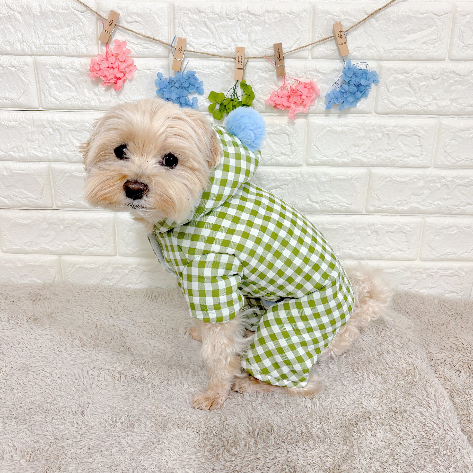 秋冬向けの犬用洋服、内側ふわふわ素材で暖かいギンガムチェック柄ドッグウェア。防寒・汚れ防止・抜け毛対策◎。ポンポン付きデザインが可愛く、小型犬にも最適な一着。