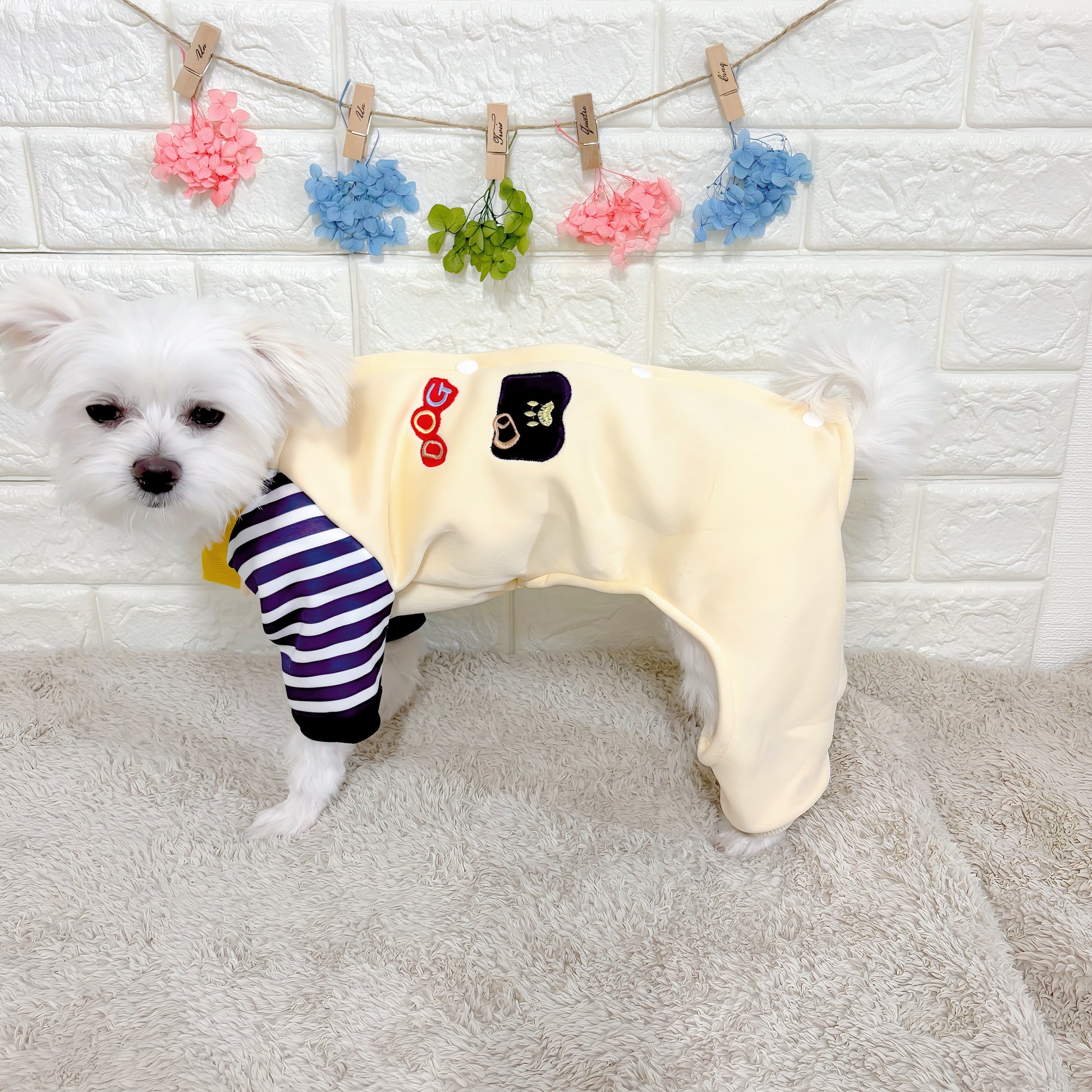 春・秋向けの犬用洋服、おしゃれで可愛いボーダーデザインのドッグウェア。防寒・汚れ防止・抜け毛対策◎。後ろボタン仕様で着脱簡単、小型犬にも快適なロンパース型デザイン。