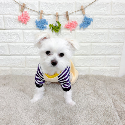 春・秋向けの犬用洋服、おしゃれで可愛いボーダーデザインのドッグウェア。防寒・汚れ防止・抜け毛対策◎。後ろボタン仕様で着脱簡単、小型犬にも快適なロンパース型デザイン。