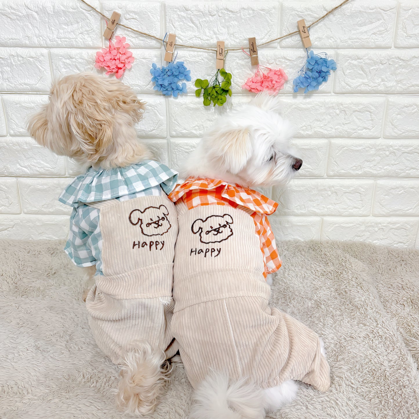 春・夏・秋向けの犬用洋服、おしゃれで可愛いチェック柄ドッグウェア。防蚊・紫外線対策◎。汚れ防止＆抜け毛対策に最適。前ボタン仕様で着脱簡単、小型犬にも快適なリラックスウェア。