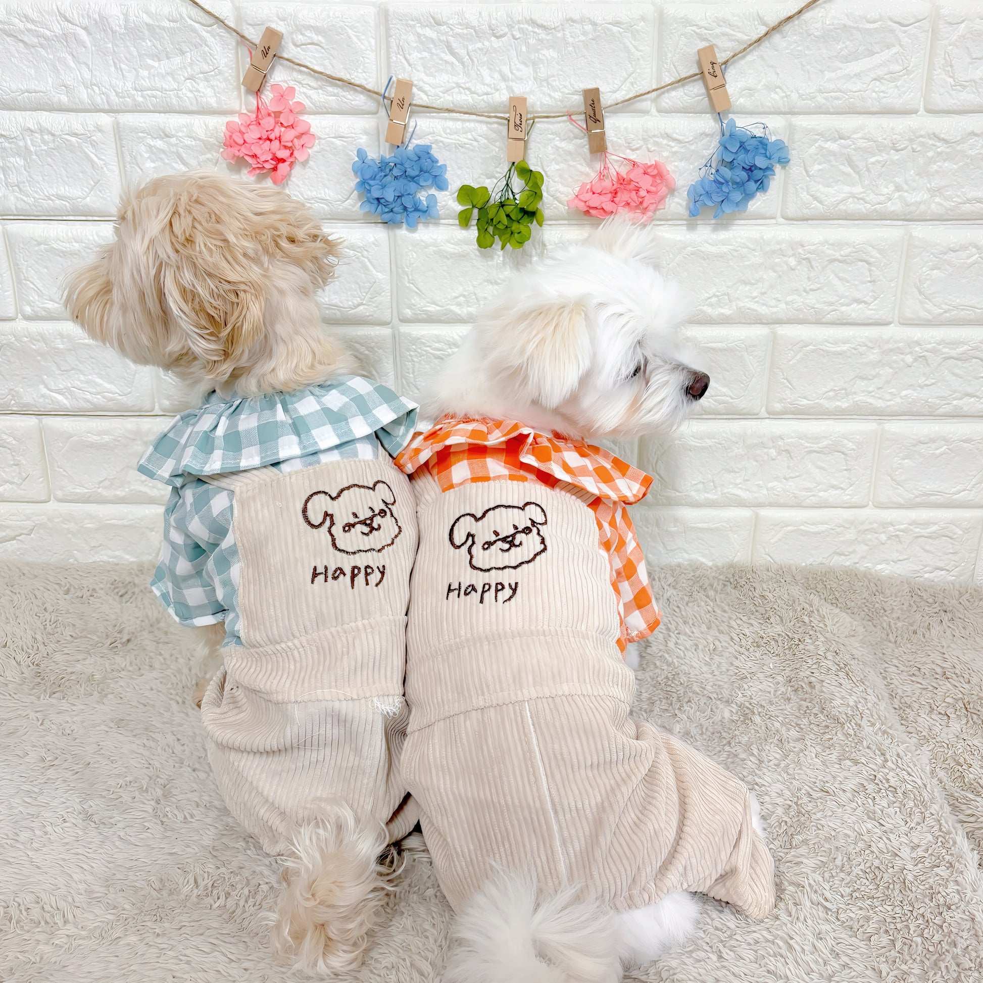 春・夏・秋向けの犬用洋服、おしゃれで可愛いチェック柄ドッグウェア。防蚊・紫外線対策◎。汚れ防止＆抜け毛対策に最適。前ボタン仕様で着脱簡単、小型犬にも快適なリラックスウェア。