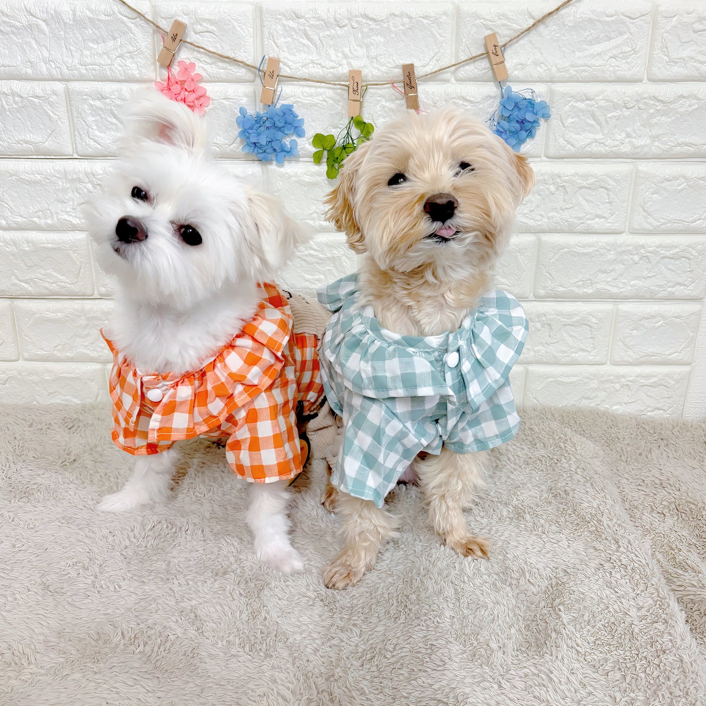 春・夏・秋向けの犬用洋服、おしゃれで可愛いチェック柄ドッグウェア。防蚊・紫外線対策◎。汚れ防止＆抜け毛対策に最適。前ボタン仕様で着脱簡単、小型犬にも快適なリラックスウェア。