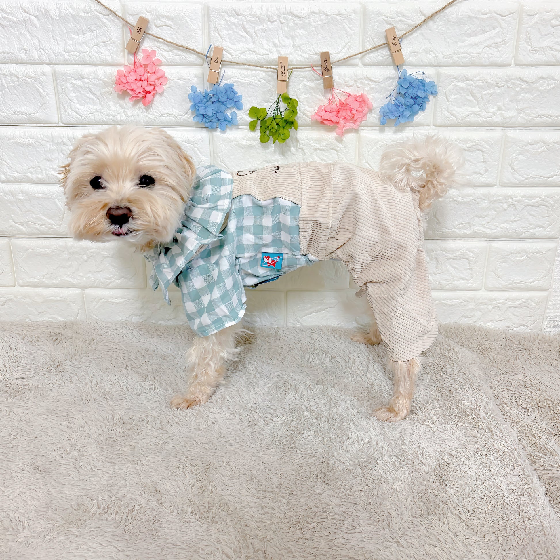 春・夏・秋向けの犬用洋服、おしゃれで可愛いチェック柄ドッグウェア。防蚊・紫外線対策◎。汚れ防止＆抜け毛対策に最適。前ボタン仕様で着脱簡単、小型犬にも快適なリラックスウェア。