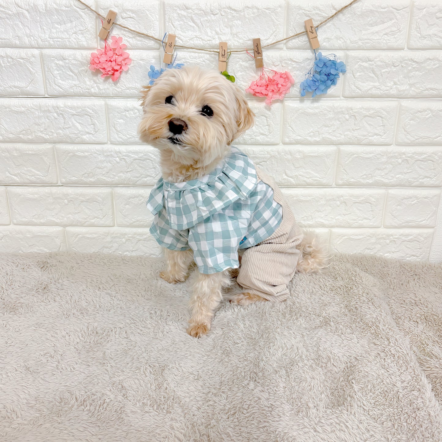 春・夏・秋向けの犬用洋服、おしゃれで可愛いチェック柄ドッグウェア。防蚊・紫外線対策◎。汚れ防止＆抜け毛対策に最適。前ボタン仕様で着脱簡単、小型犬にも快適なリラックスウェア。