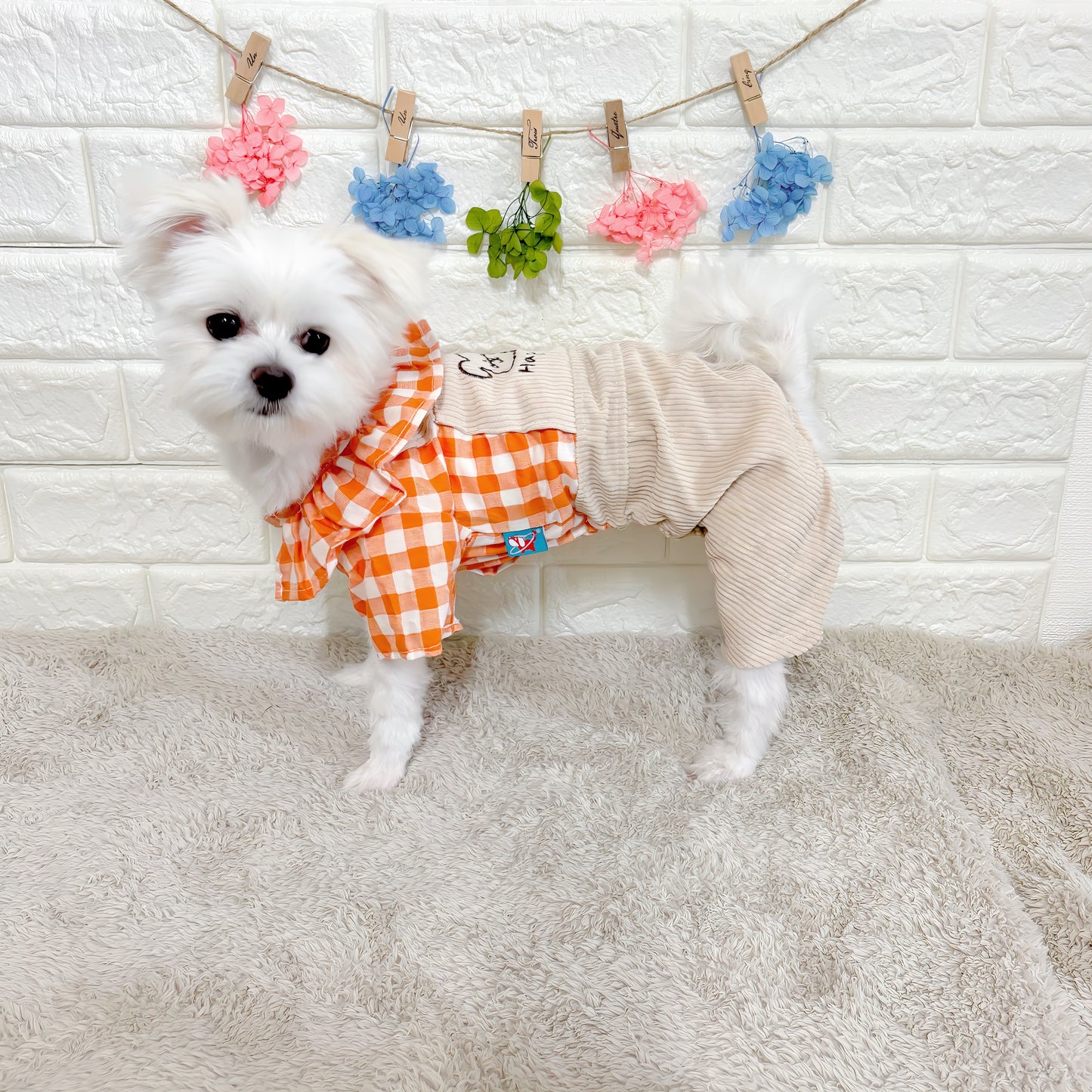 春・夏・秋向けの犬用洋服、おしゃれで可愛いチェック柄ドッグウェア。防蚊・紫外線対策◎。汚れ防止＆抜け毛対策に最適。前ボタン仕様で着脱簡単、小型犬にも快適なリラックスウェア。