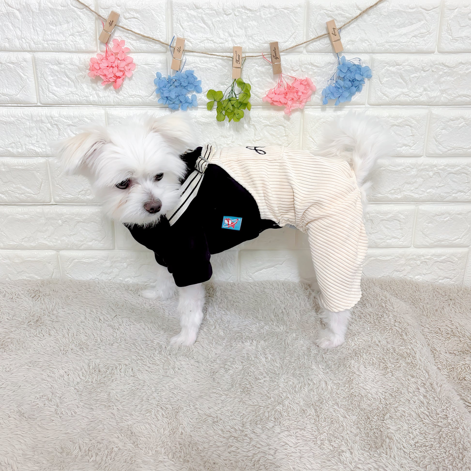 春秋向けの小型犬用おしゃれなロンパース