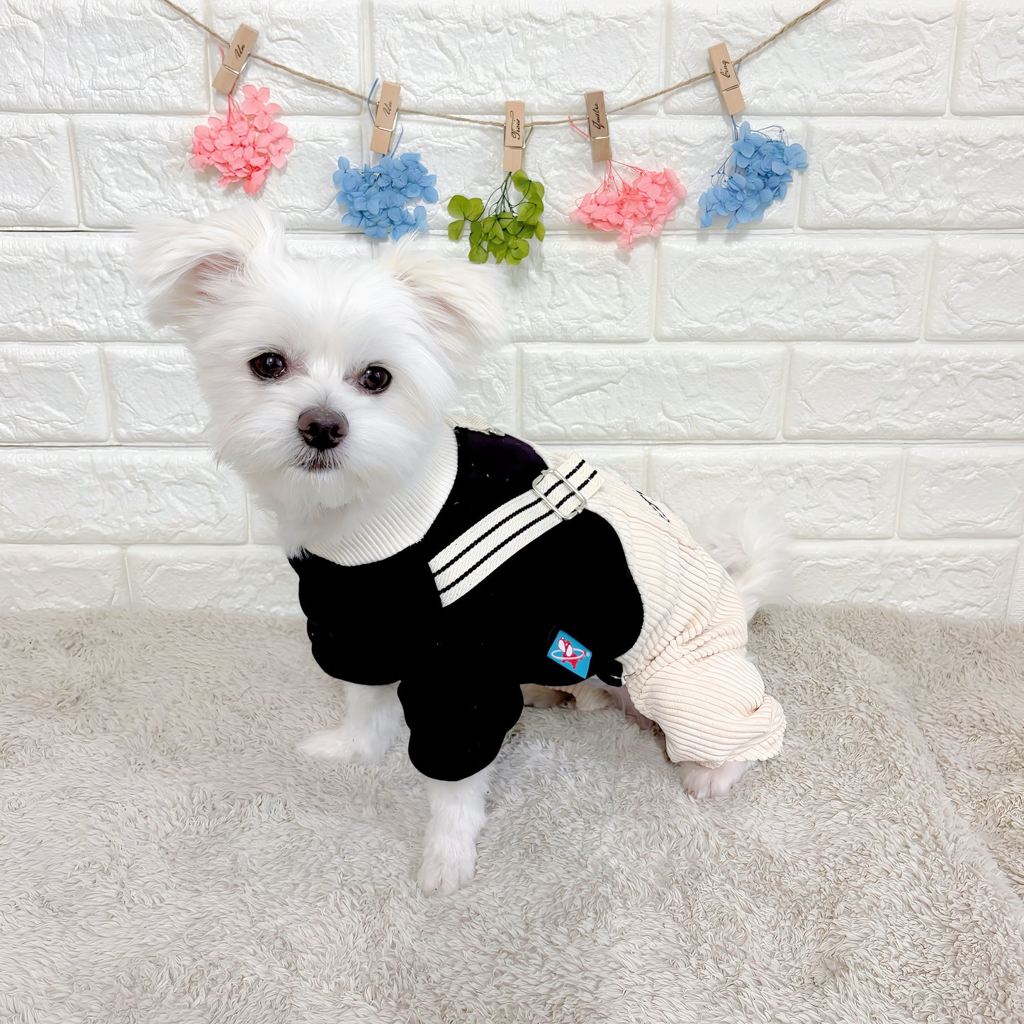 春秋向けの小型犬用おしゃれなロンパース