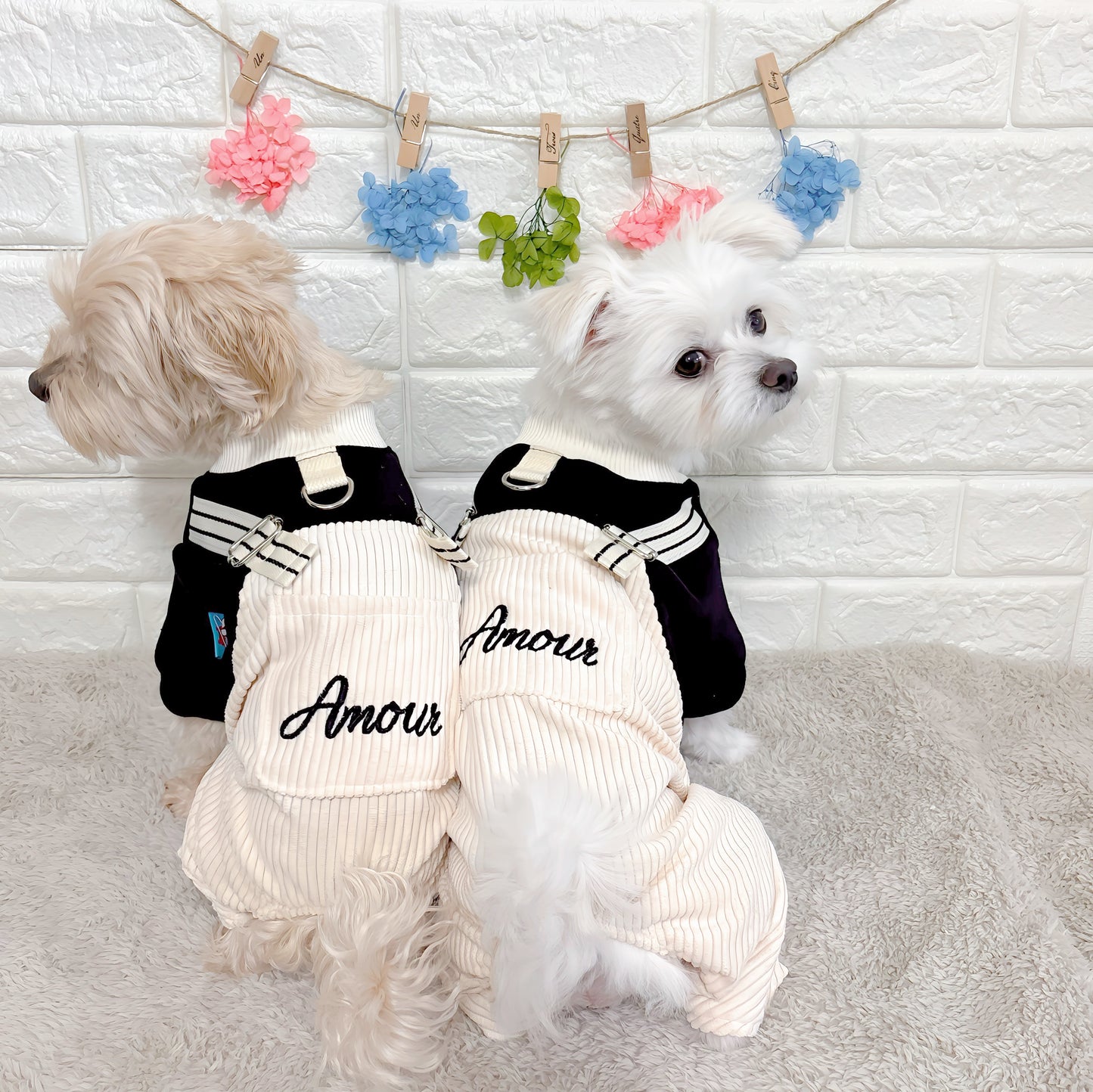 春秋向けの小型犬用おしゃれなロンパース