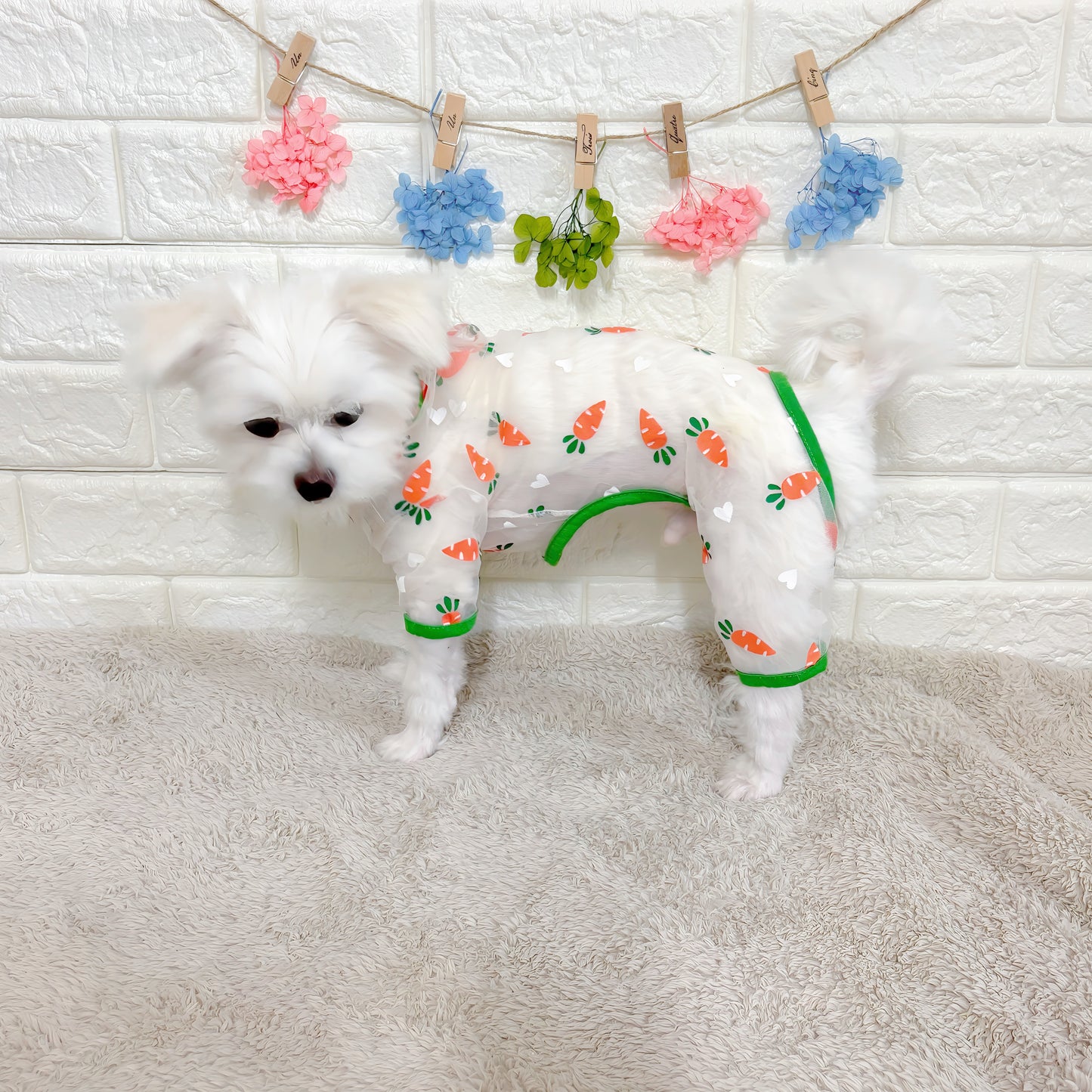 春夏向けの犬用洋服、可愛いにんじん柄のメッシュ生地ドッグウェア。通気性抜群で涼しく快適、虫よけ・汚れ防止・抜け毛対策にも最適な小型犬向けロンパース。