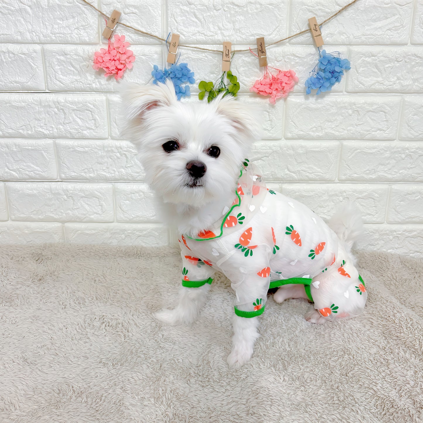 春夏向けの犬用洋服、可愛いにんじん柄のメッシュ生地ドッグウェア。通気性抜群で涼しく快適、虫よけ・汚れ防止・抜け毛対策にも最適な小型犬向けロンパース。