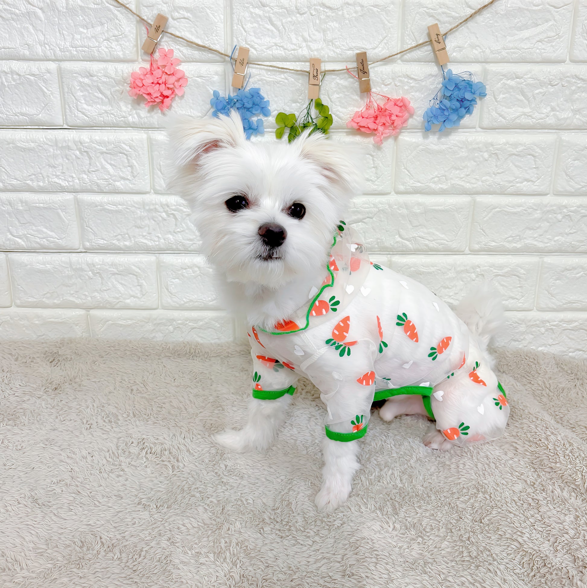 春夏向けの犬用洋服、可愛いにんじん柄のメッシュ生地ドッグウェア。通気性抜群で涼しく快適、虫よけ・汚れ防止・抜け毛対策にも最適な小型犬向けロンパース。