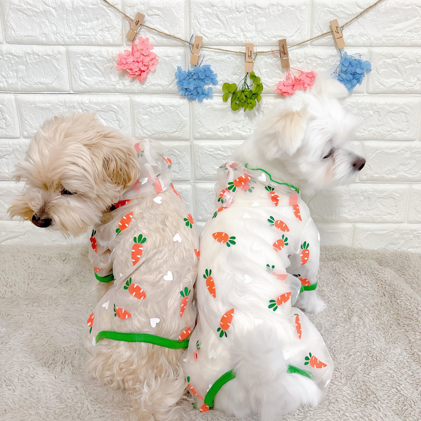 春夏向けの犬用洋服、可愛いにんじん柄のメッシュ生地ドッグウェア。通気性抜群で涼しく快適、虫よけ・汚れ防止・抜け毛対策にも最適な小型犬向けロンパース。