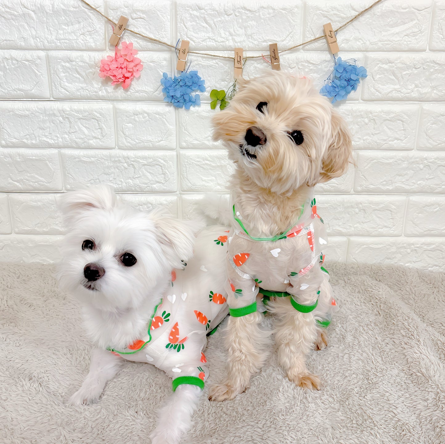 春夏向けの犬用洋服、可愛いにんじん柄のメッシュ生地ドッグウェア。通気性抜群で涼しく快適、虫よけ・汚れ防止・抜け毛対策にも最適な小型犬向けロンパース。