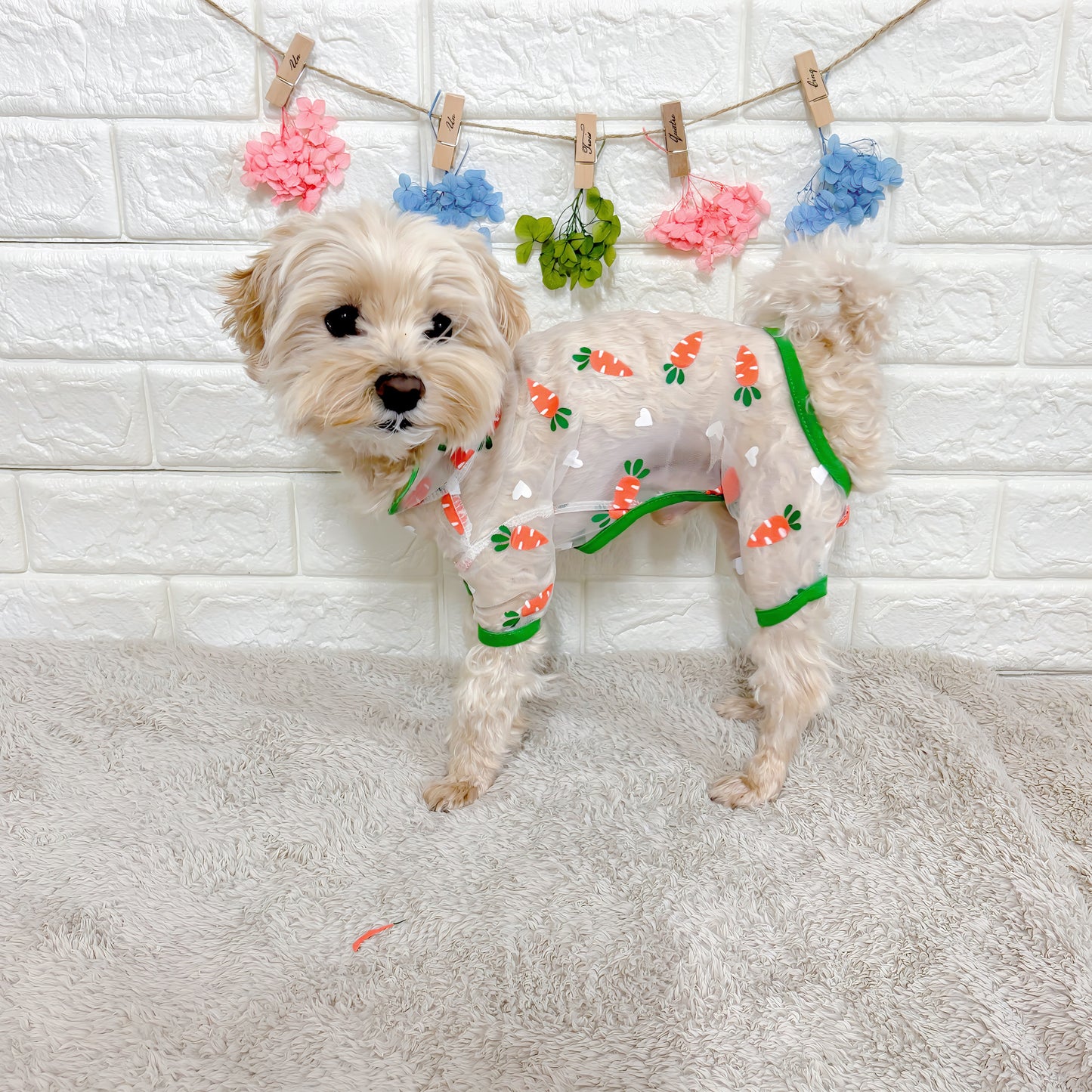 春夏向けの犬用洋服、可愛いにんじん柄のメッシュ生地ドッグウェア。通気性抜群で涼しく快適、虫よけ・汚れ防止・抜け毛対策にも最適な小型犬向けロンパース。