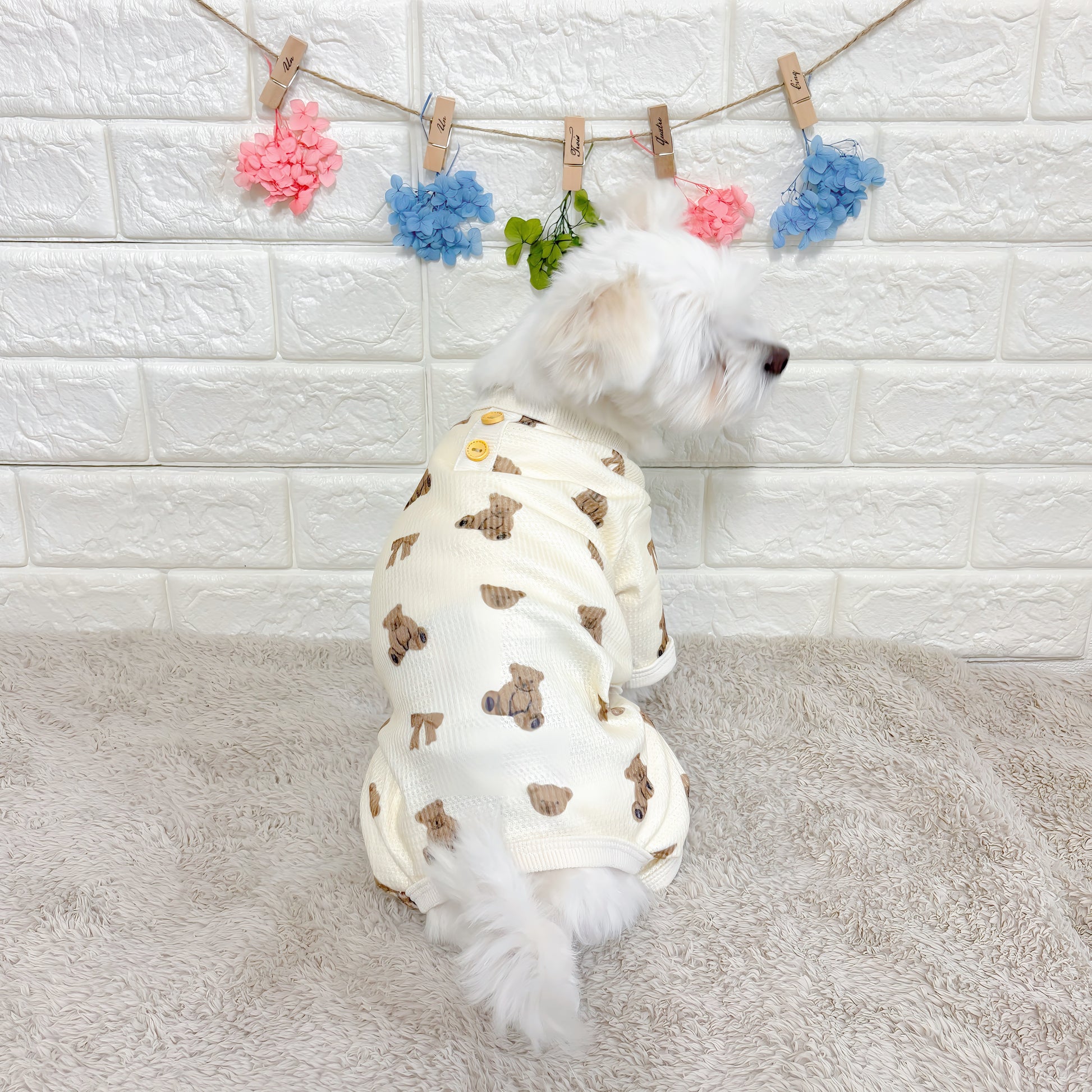 春・秋向けの犬用洋服、くまさん柄の可愛いドッグウェア。肌に優しい綿素材で、汚れ防止・防蚊対策・抜け毛対策にも最適なロンパース型パジャマ。