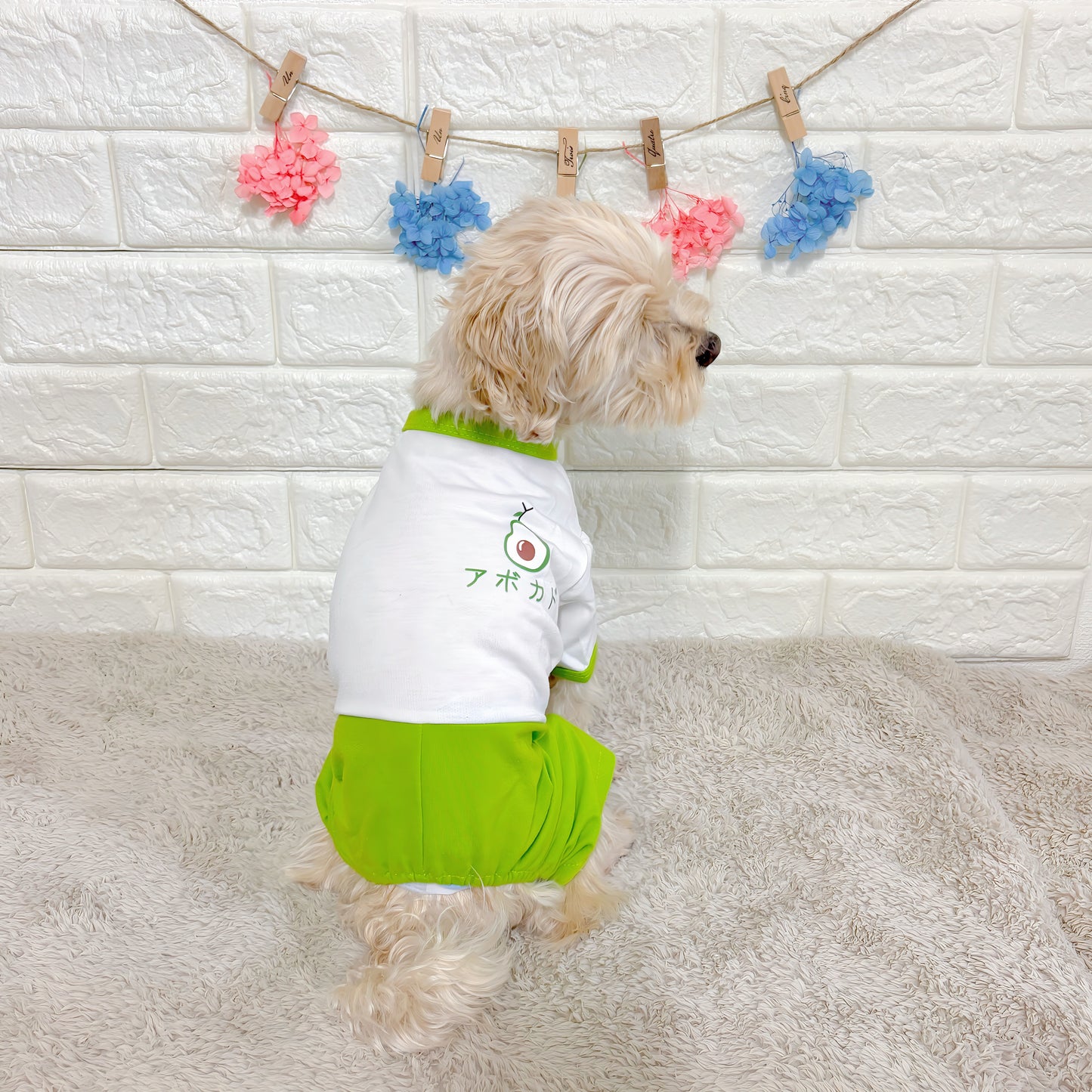 春夏向けの犬用洋服、おしゃれで可愛いアボカド柄ドッグウェア。紫外線・防蚊・汚れ防止◎。抜け毛対策にも最適。柔らか素材で動きやすく、小型犬の部屋着やお散歩にもぴったり。