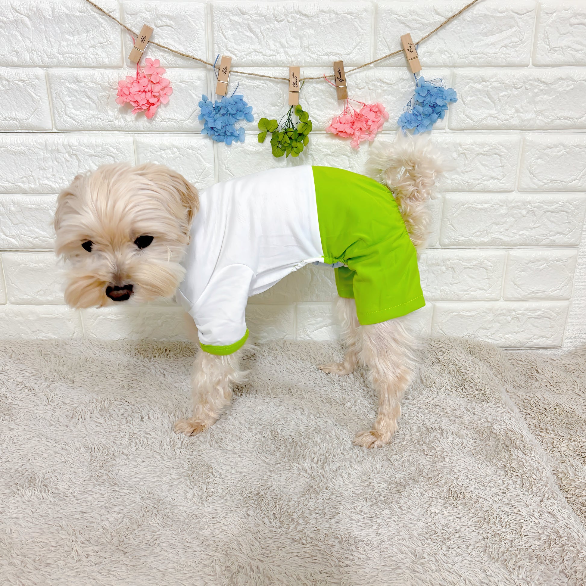 春夏向けの犬用洋服、おしゃれで可愛いアボカド柄ドッグウェア。紫外線・防蚊・汚れ防止◎。抜け毛対策にも最適。柔らか素材で動きやすく、小型犬の部屋着やお散歩にもぴったり。