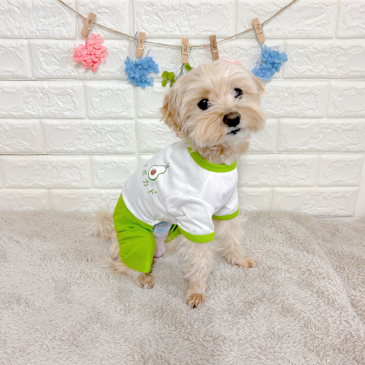春夏向けの犬用洋服、おしゃれで可愛いアボカド柄ドッグウェア。紫外線・防蚊・汚れ防止◎。抜け毛対策にも最適。柔らか素材で動きやすく、小型犬の部屋着やお散歩にもぴったり。