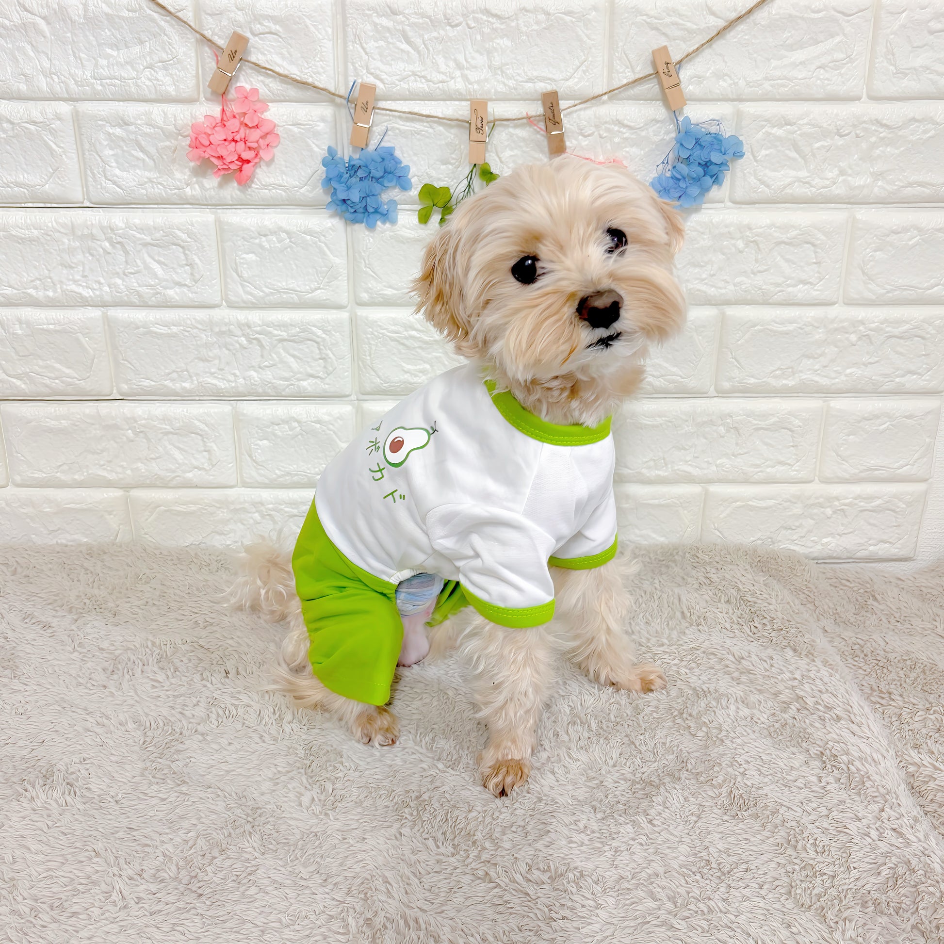 春夏向けの犬用洋服、おしゃれで可愛いアボカド柄ドッグウェア。紫外線・防蚊・汚れ防止◎。抜け毛対策にも最適。柔らか素材で動きやすく、小型犬の部屋着やお散歩にもぴったり。