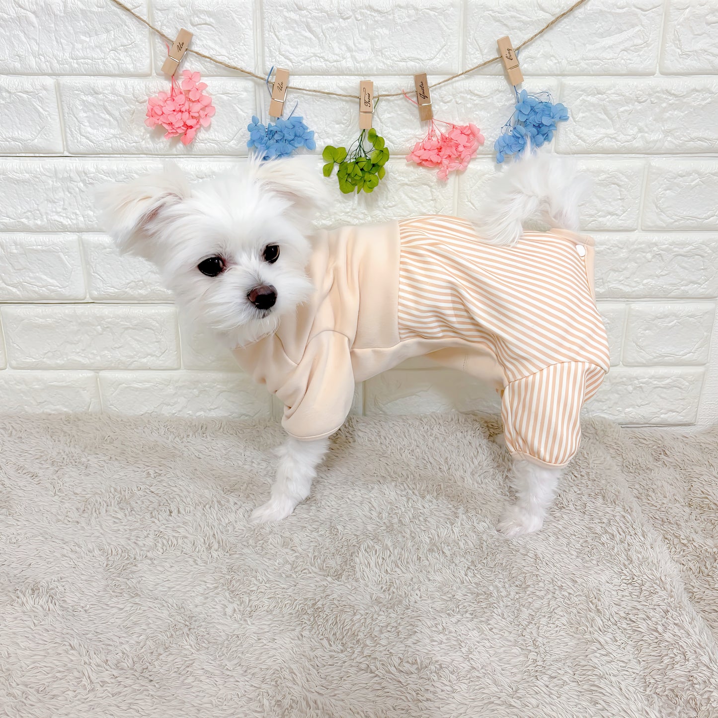 術後ケアに最適な犬用洋服、おしゃれで可愛いくまモチーフ術後服ドッグウェア。お腹をしっかりカバーし傷口を保護。防寒・汚れ防止・抜け毛対策も◎。小型犬にもおすすめの快適デザイン。