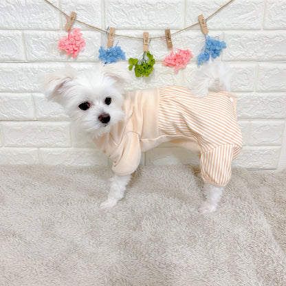 術後ケアに最適な犬用洋服、おしゃれで可愛いくまモチーフ術後服ドッグウェア。お腹をしっかりカバーし傷口を保護。防寒・汚れ防止・抜け毛対策も◎。小型犬にもおすすめの快適デザイン。