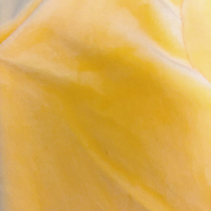 秋冬向けの犬用洋服、暖かいコーデュロイ素材のおしゃれなドッグウェア。防寒・汚れ防止・抜け毛対策に最適。前ボタン仕様で着脱簡単、小型犬にもおすすめ。