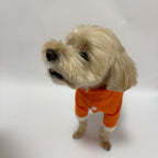 Cooling Honeycomb Romper