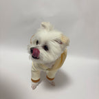 Cord Matching cloth Romper