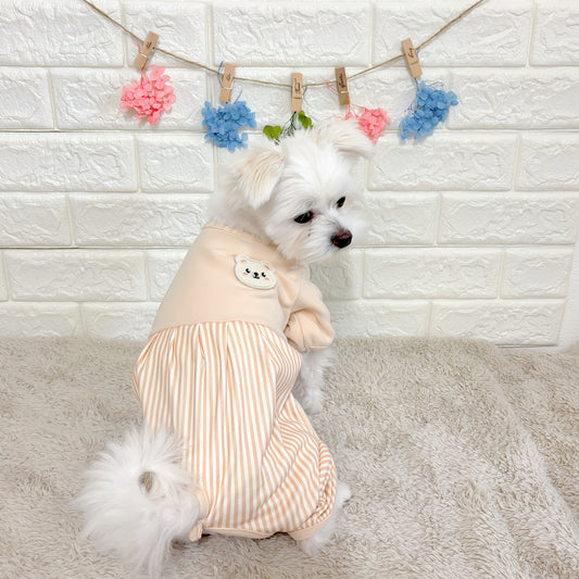 術後ケアに最適な犬用洋服、おしゃれで可愛いくまモチーフ術後服ドッグウェア。お腹をしっかりカバーし傷口を保護。防寒・汚れ防止・抜け毛対策も◎。小型犬にもおすすめの快適デザイン。