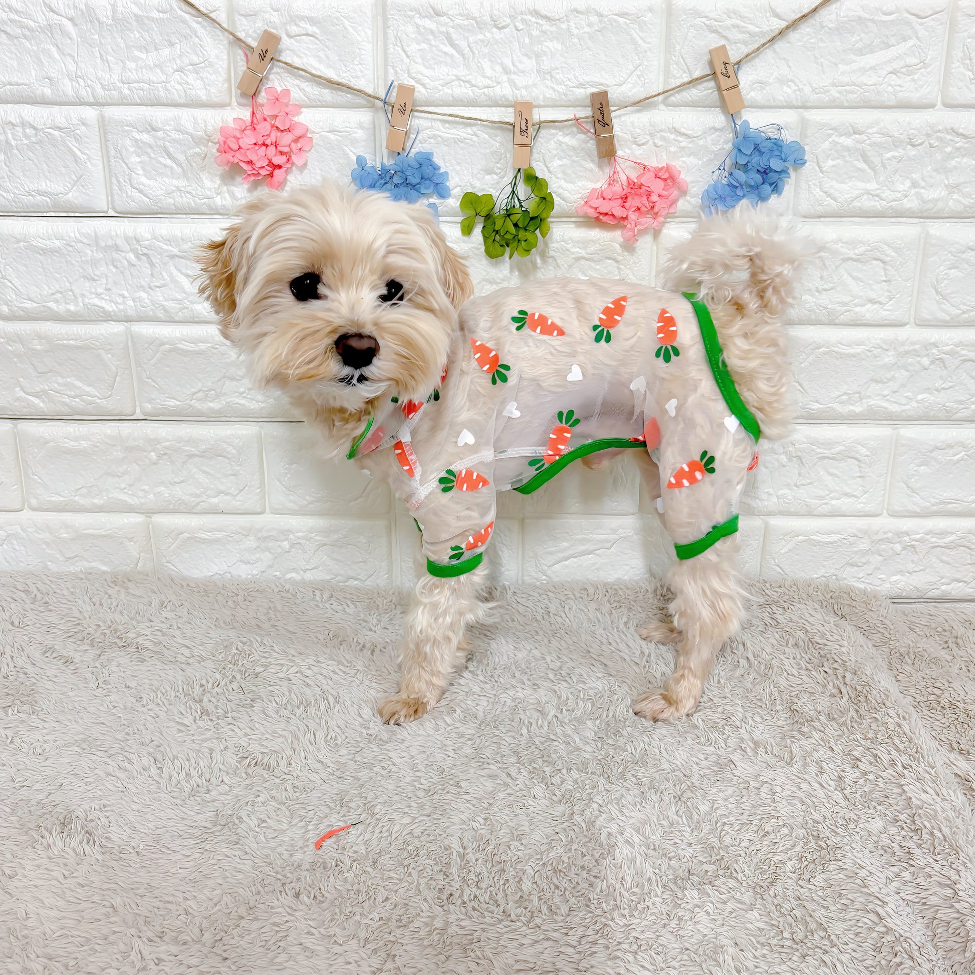 Dog clothes for spring and summer, mesh fabric dog wear with a cute carrot pattern. A romper for small dogs that is highly breathable, cool and comfortable, and perfect for repelling insects, dirt, and hair loss.