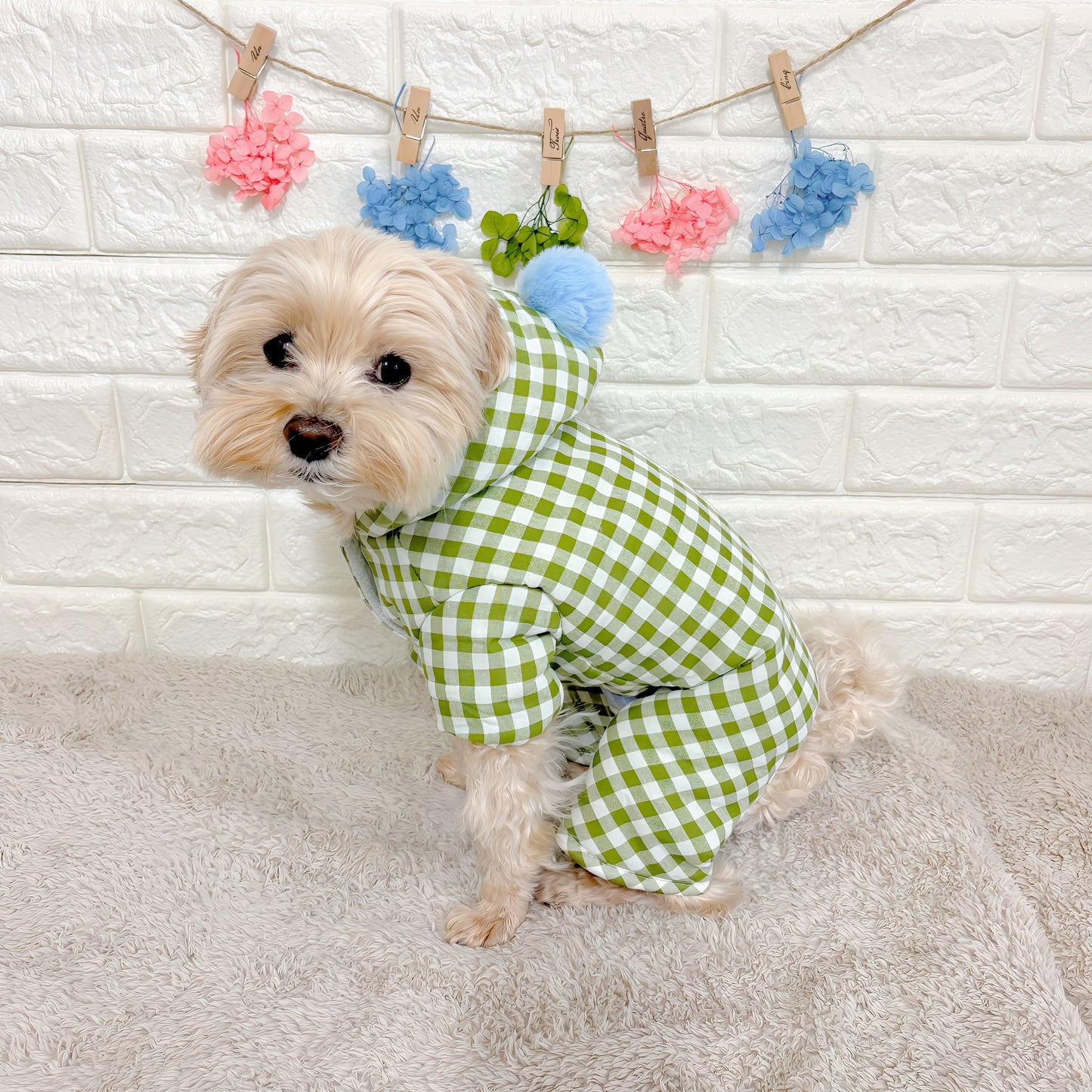 秋冬向けの犬用洋服、内側ふわふわ素材で暖かいギンガムチェック柄ドッグウェア。防寒・汚れ防止・抜け毛対策◎。ポンポン付きデザインが可愛く、小型犬にも最適な一着。