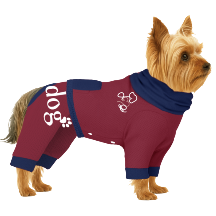 【ハイネックタイプ】スウェット生地-レッド×ブルー