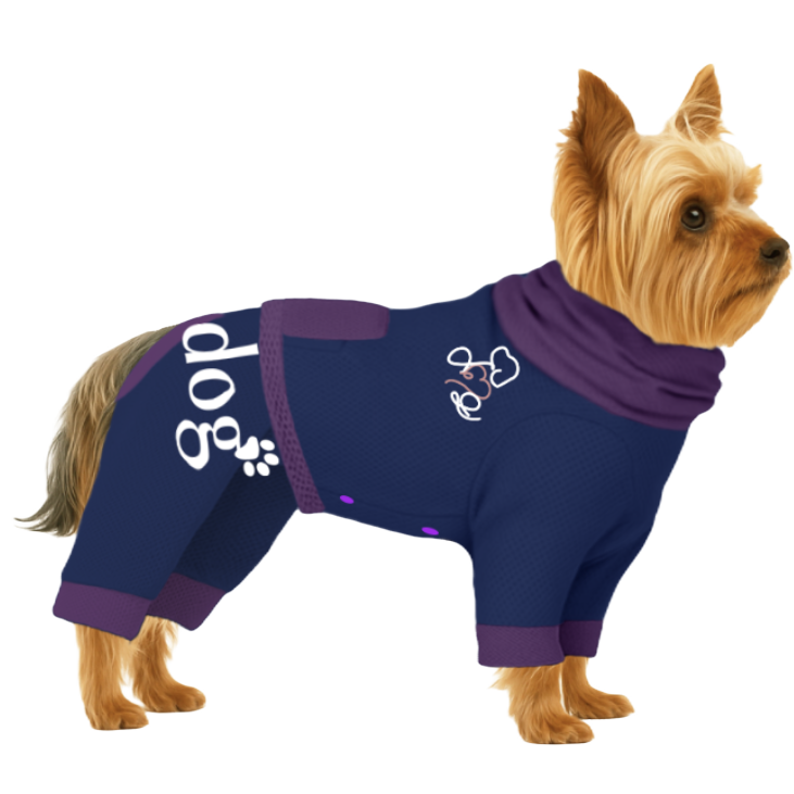 【ハイネックタイプ】メッシュ生地(吸水速乾・遮熱・UV)-ブルー×パープル